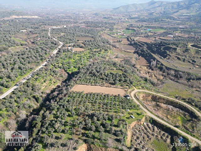 ANTİKA GAYRİMENKUL'DEN BADEMLİDE SATILIK ZEYTİNLİK